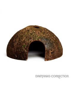 coconut hut drilled