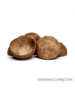 coconut hut
