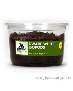 Dwarf White Isopods 12 oz