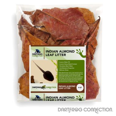 DFC Indian Almond Leafs 4 qt