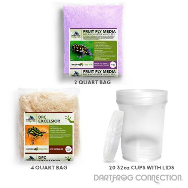 Wingless Fruit Fly Kit- 20 Pack 