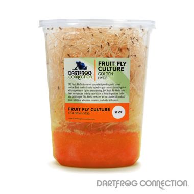 DFC Golden Delicious Fruit Fly Culture